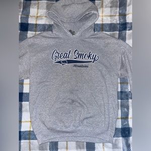 Gray Great Smoky Mountains Hoodie